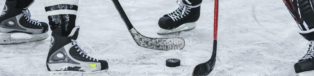 Charter bus and shuttle rentals for hockey teams.