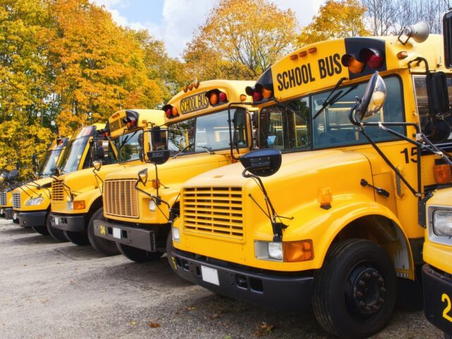 School Bus Shuttles