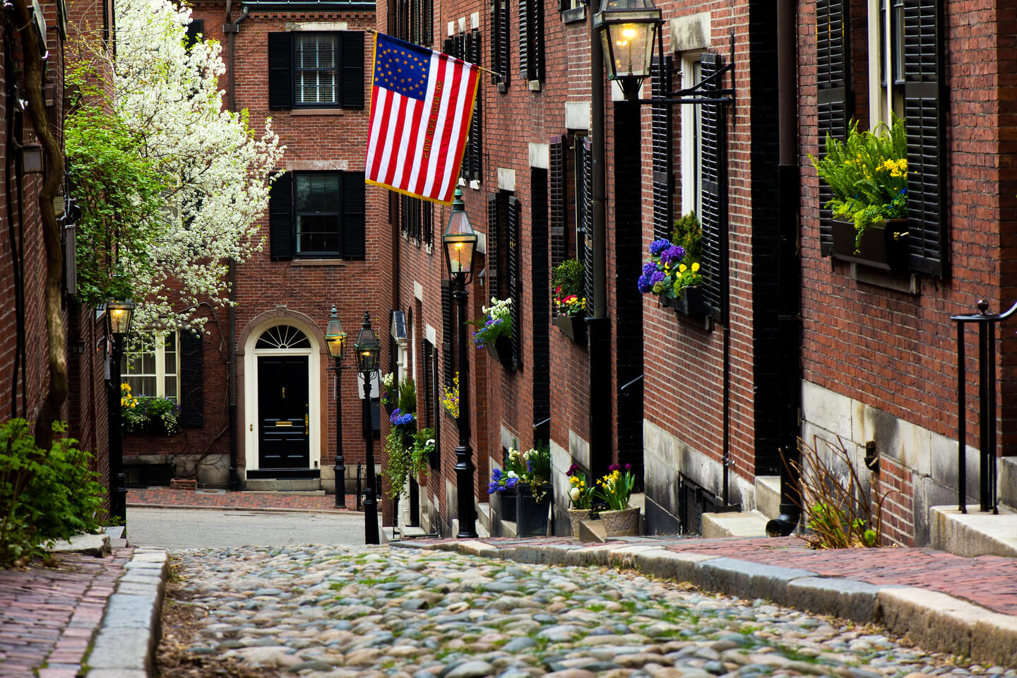 Bostoncharter bus rentals