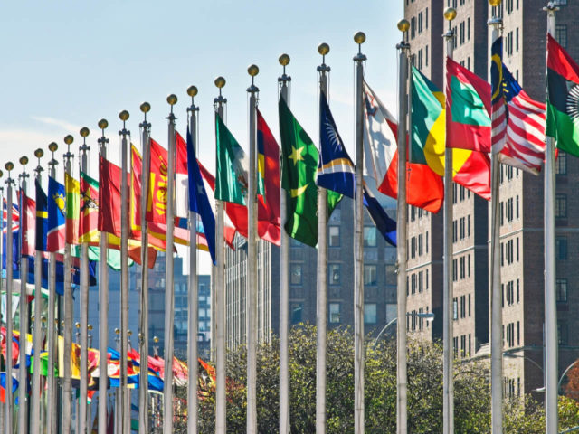 Model UN