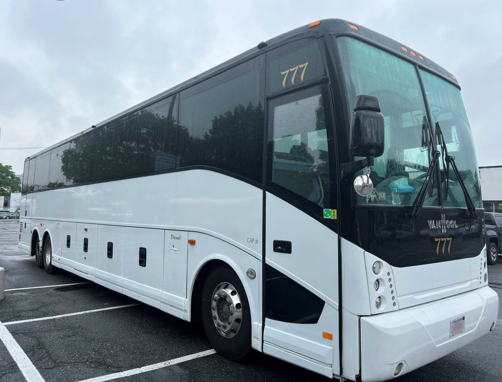 Summer Bus and Coach