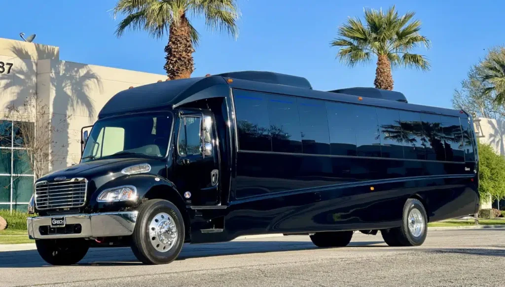 Elegant Coach