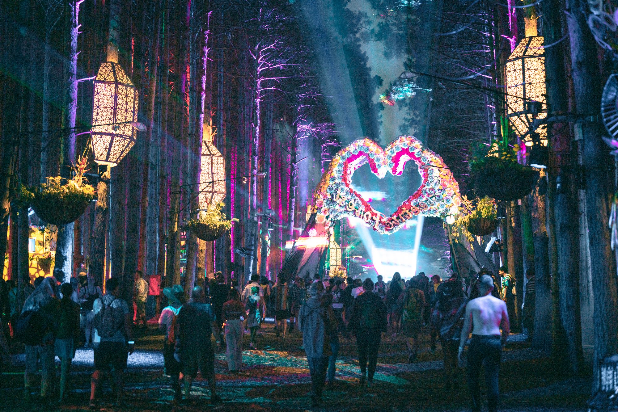 Flexible and reliable Electric Forest shuttle rentals