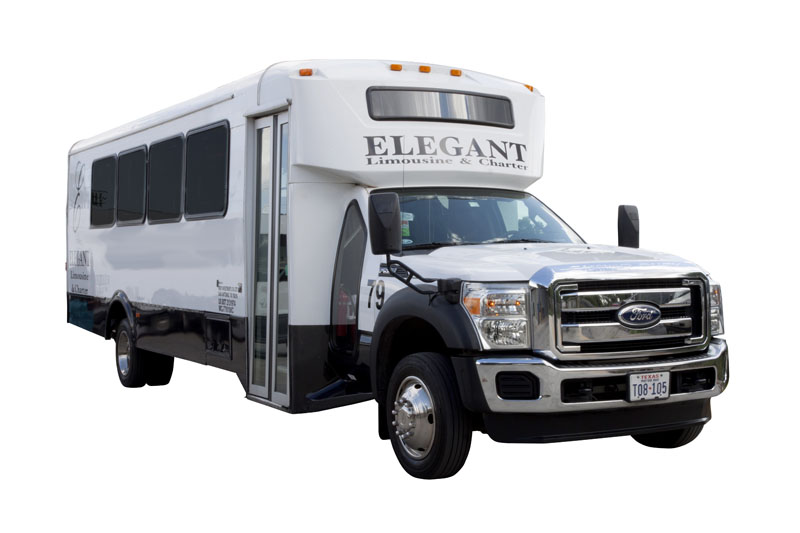 Elegant Buses