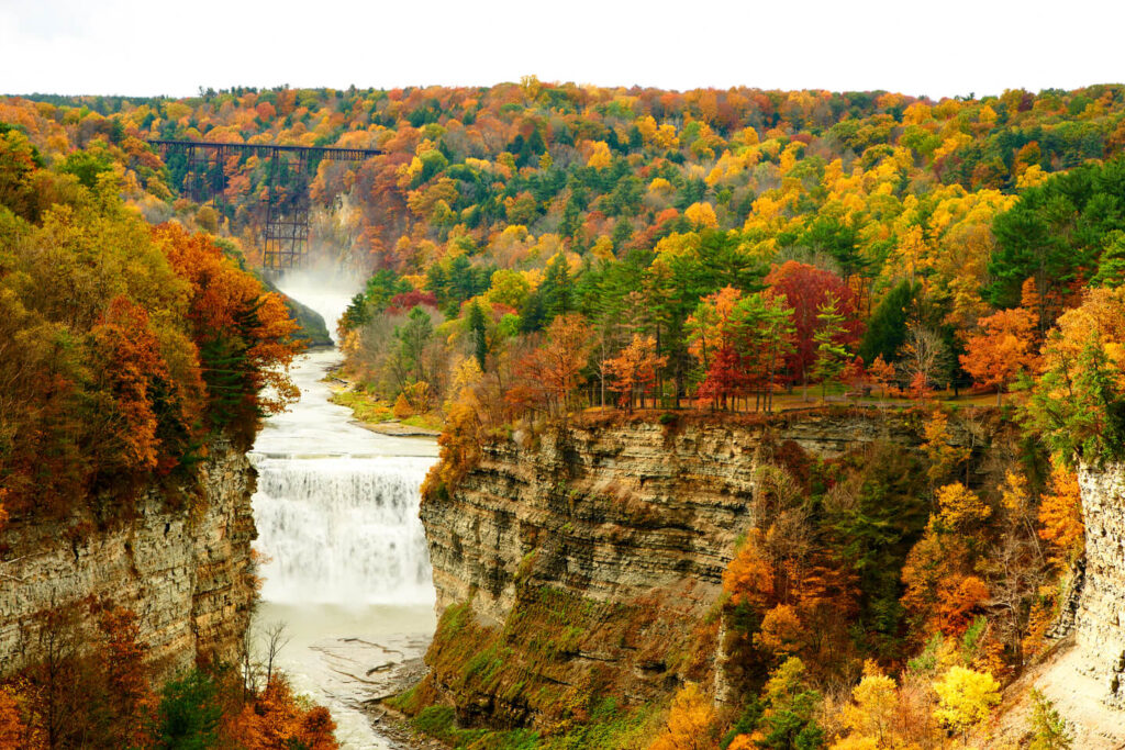 Camping Destinations Near New York to Explore this Fall