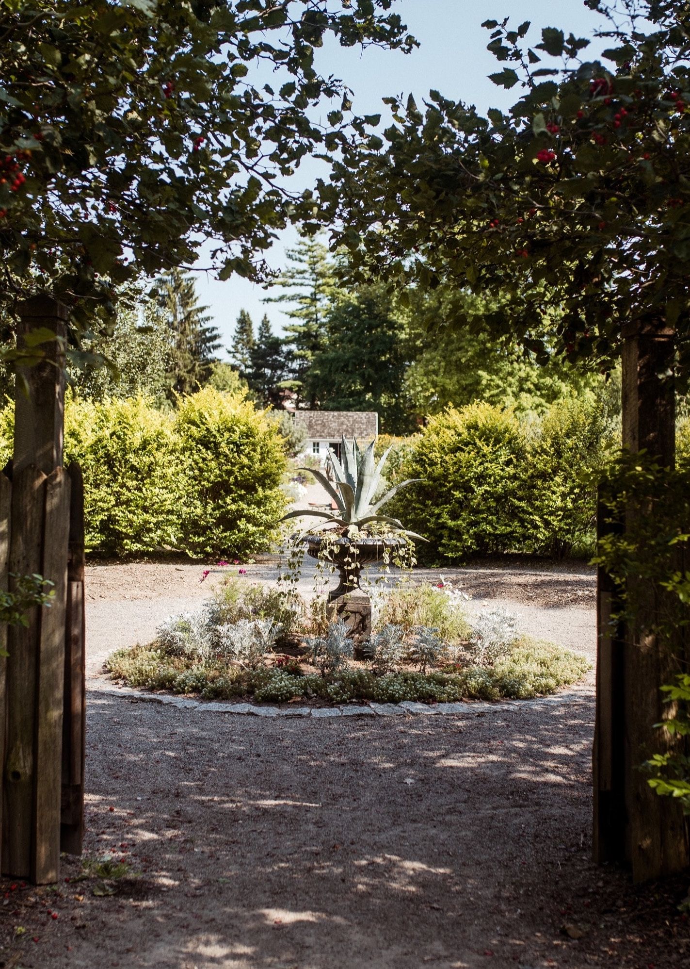 Mildred E. Mathias Botanical Garden