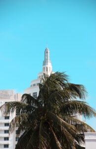 Miami Beach Boardwalk