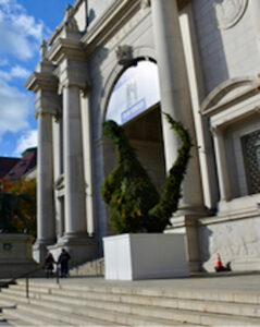 American Museum of Natural History