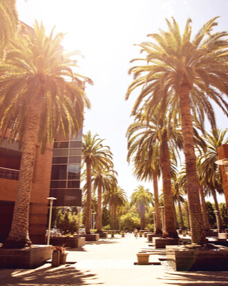 Palo Alto