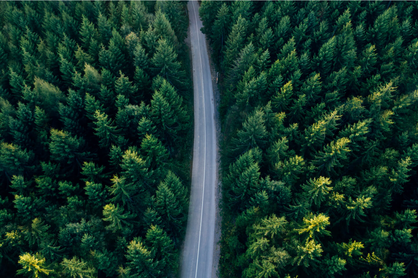 Responsible Road Tripping During COVID 19