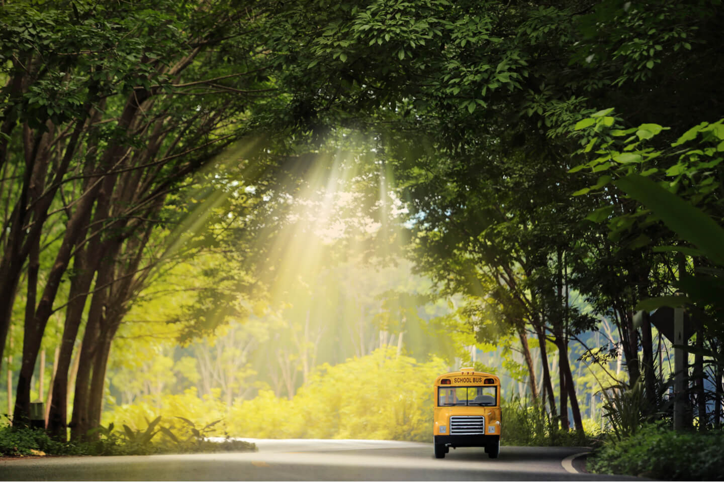 School Bus Rental Pricing Guide