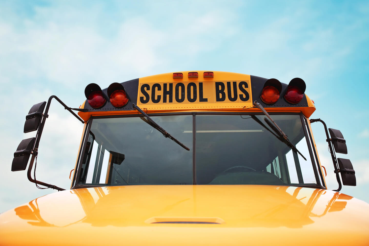 Why are School Buses Yellow? And Other Fun Facts About Buses