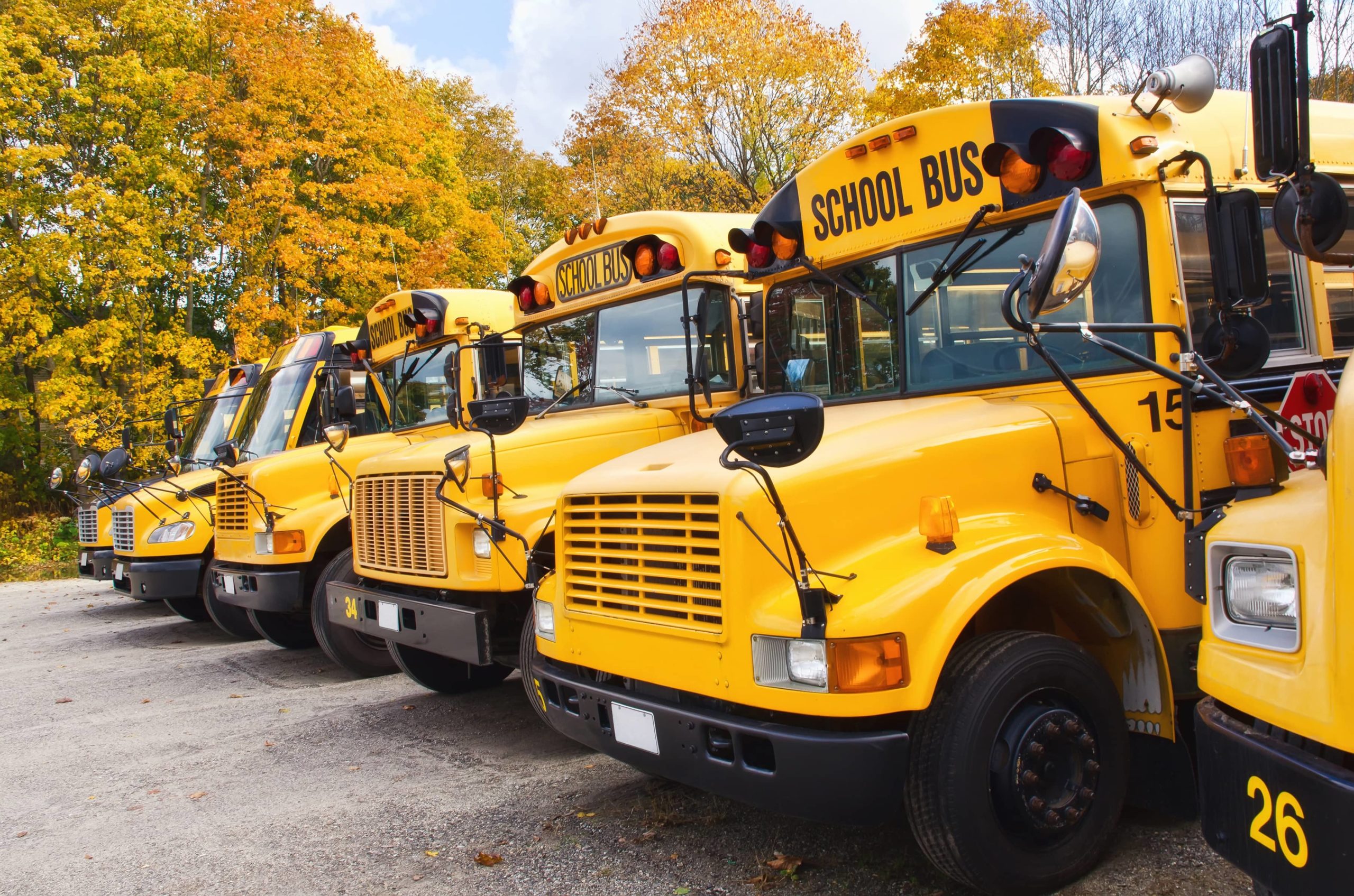 NYC School Bus Rental Guide for Launching a Shuttle Service
