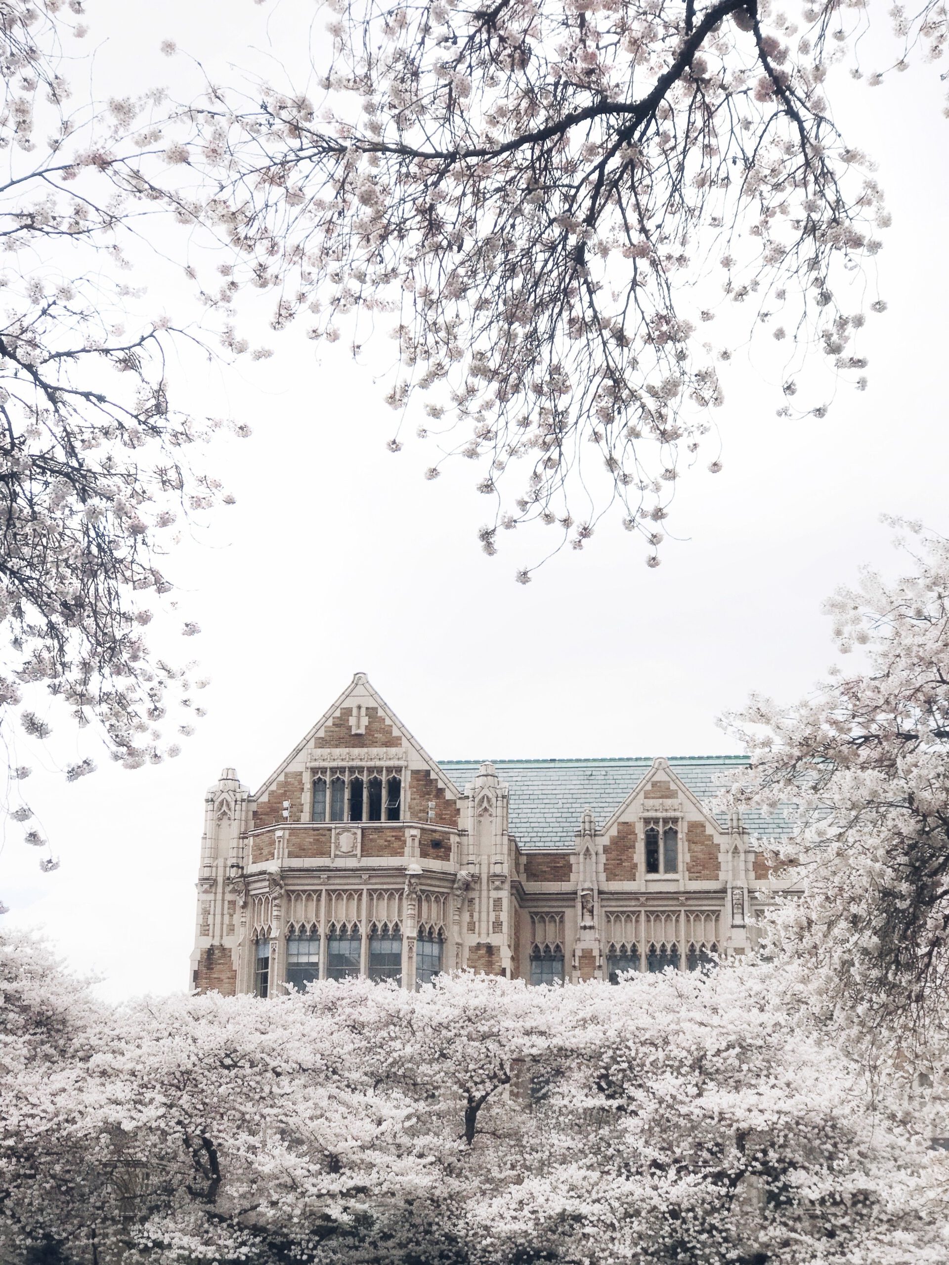 University of Washington