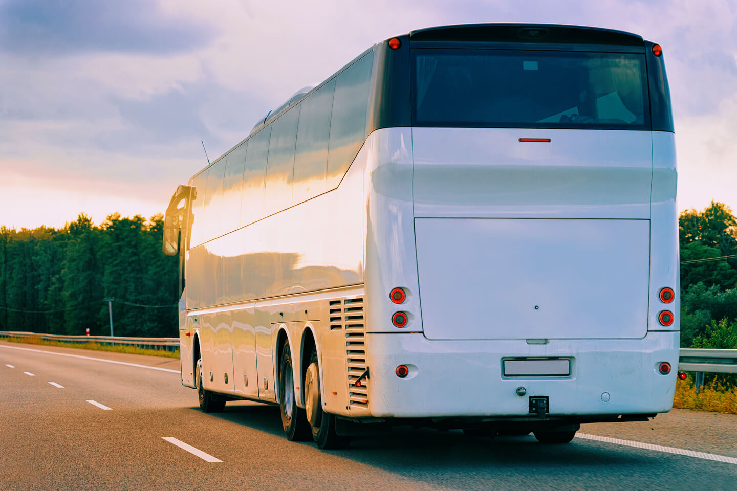 What is a Charter Bus?