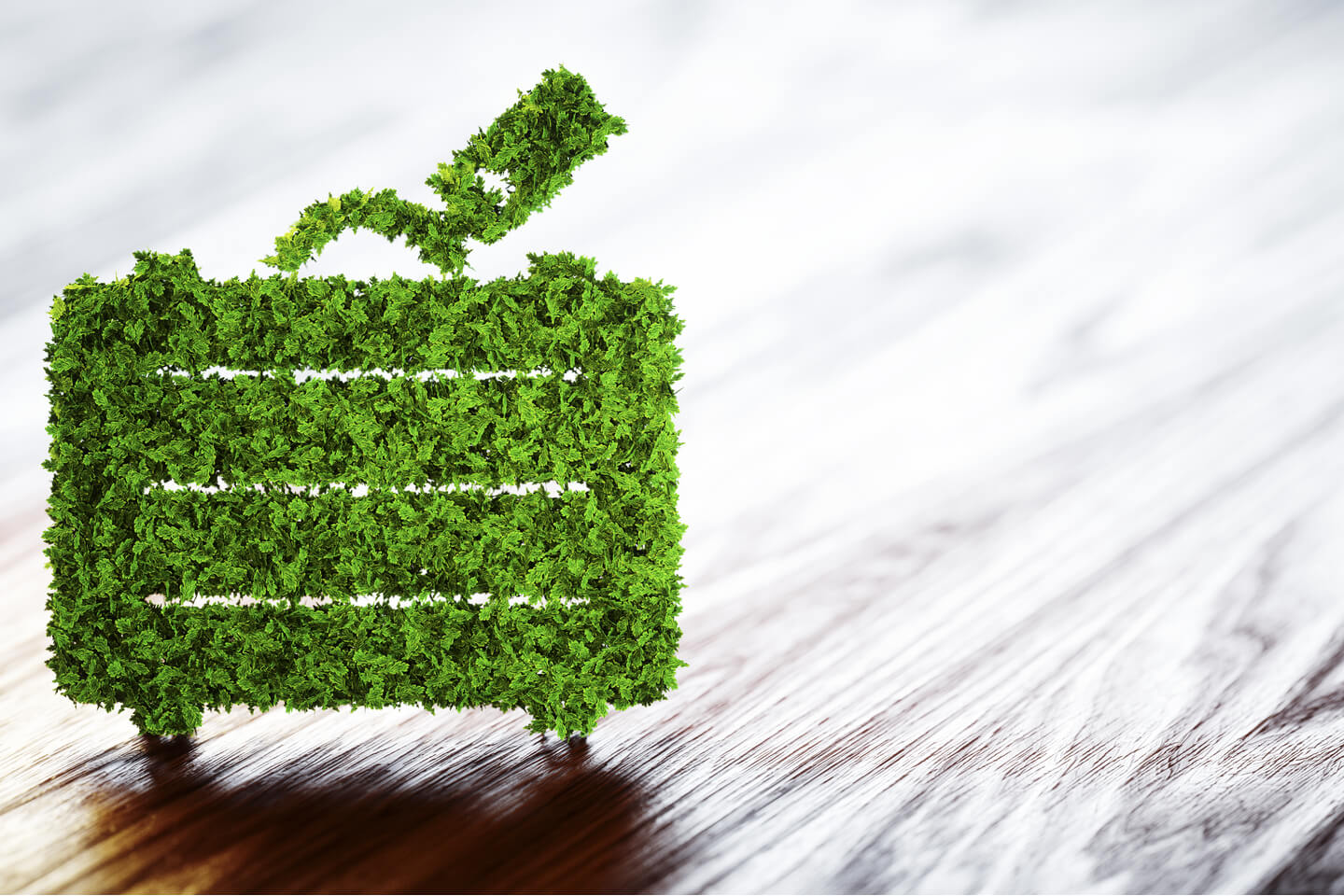 From buses to motorcycles: which form of transportation is most eco-friendly?
