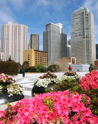 Yerba Buena Center for the Arts