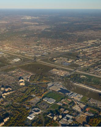 York University