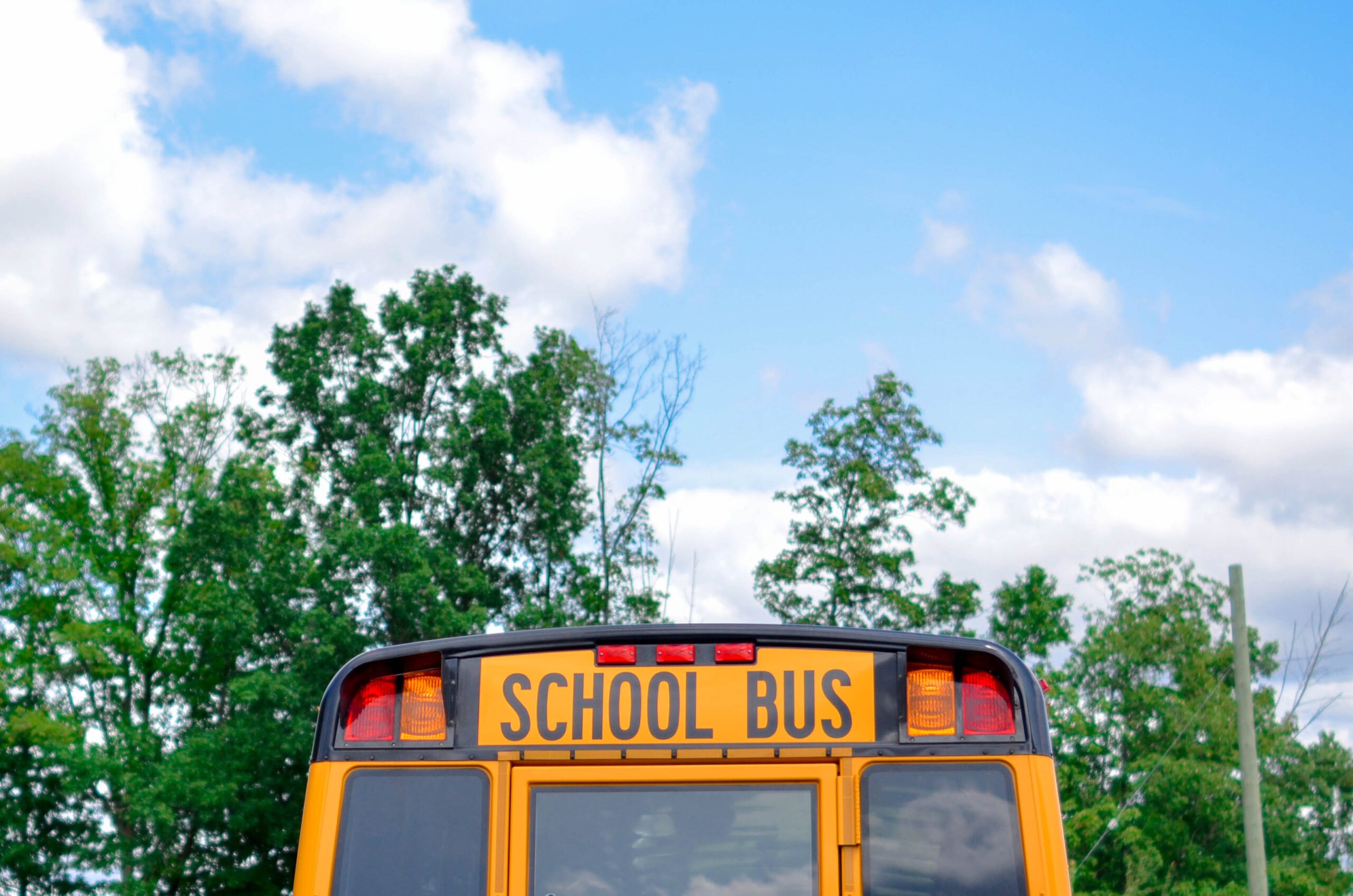 Quick Guide to Choosing a Bus Type