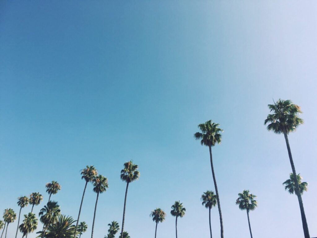 Guide to Los Angeles Corporate Bus Rentals