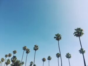 Guide to Los Angeles Corporate Bus Rentals