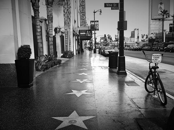 Planning a Tour of Hollywood with a Private Bus Rental