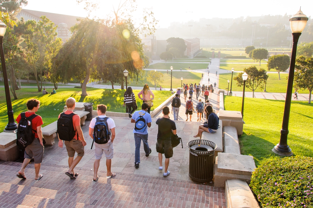 Guide to Toronto University Campus Bus Tours