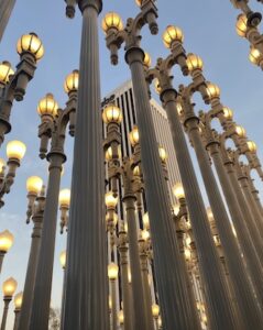 Museum of Contemporary Art