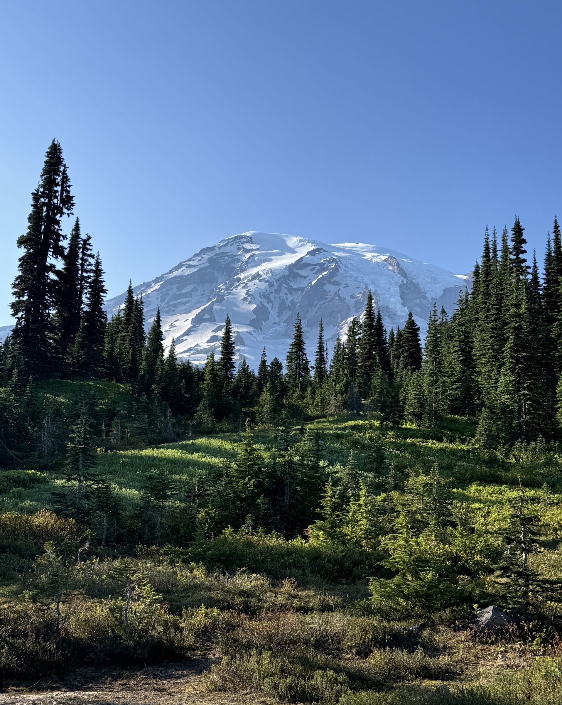 Charter Bus rentals in Tacoma